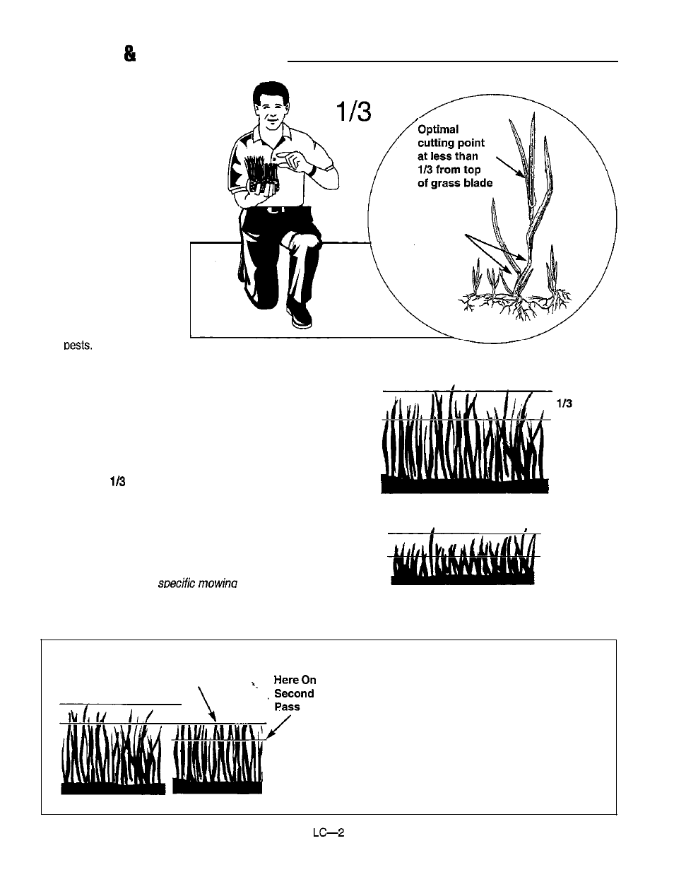 Lawn care mowing information, How high to mow the grass, Cut less than | Simplicity 14HP User Manual | Page 44 / 50