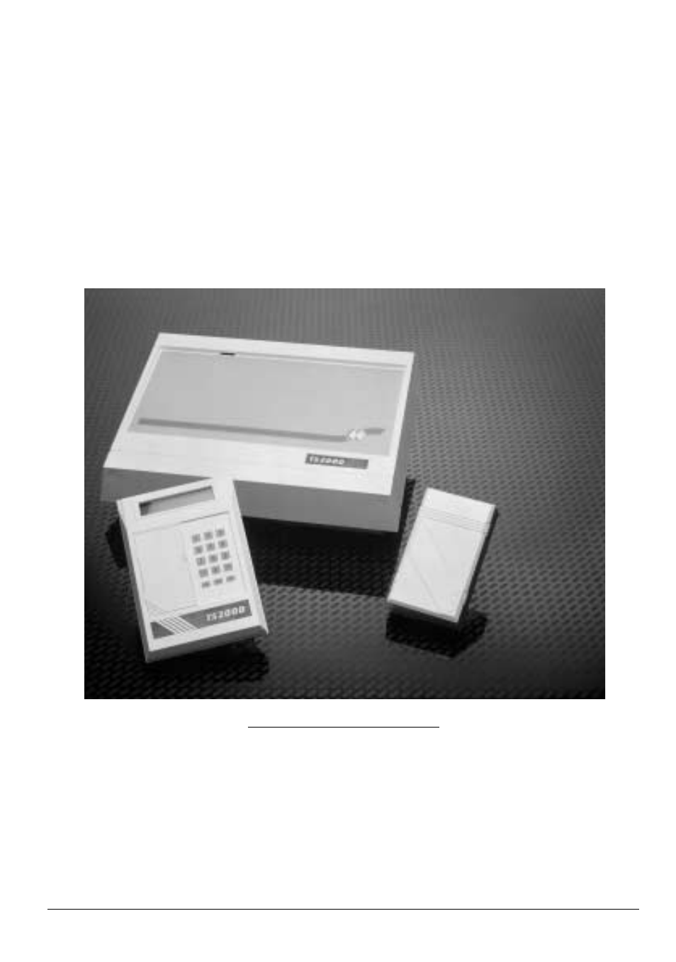 Security Systems TS2000 User Manual | 20 pages