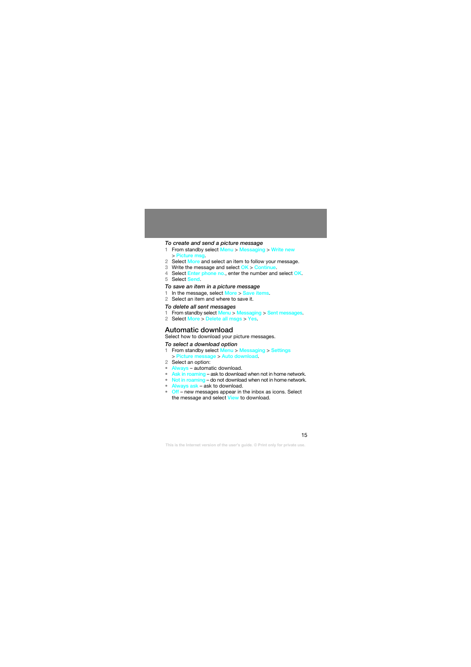 Automatic download | Superior Z258C User Manual | Page 15 / 48