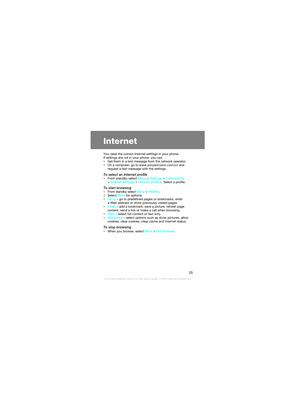 Internet | Superior Z258C User Manual | Page 25 / 48