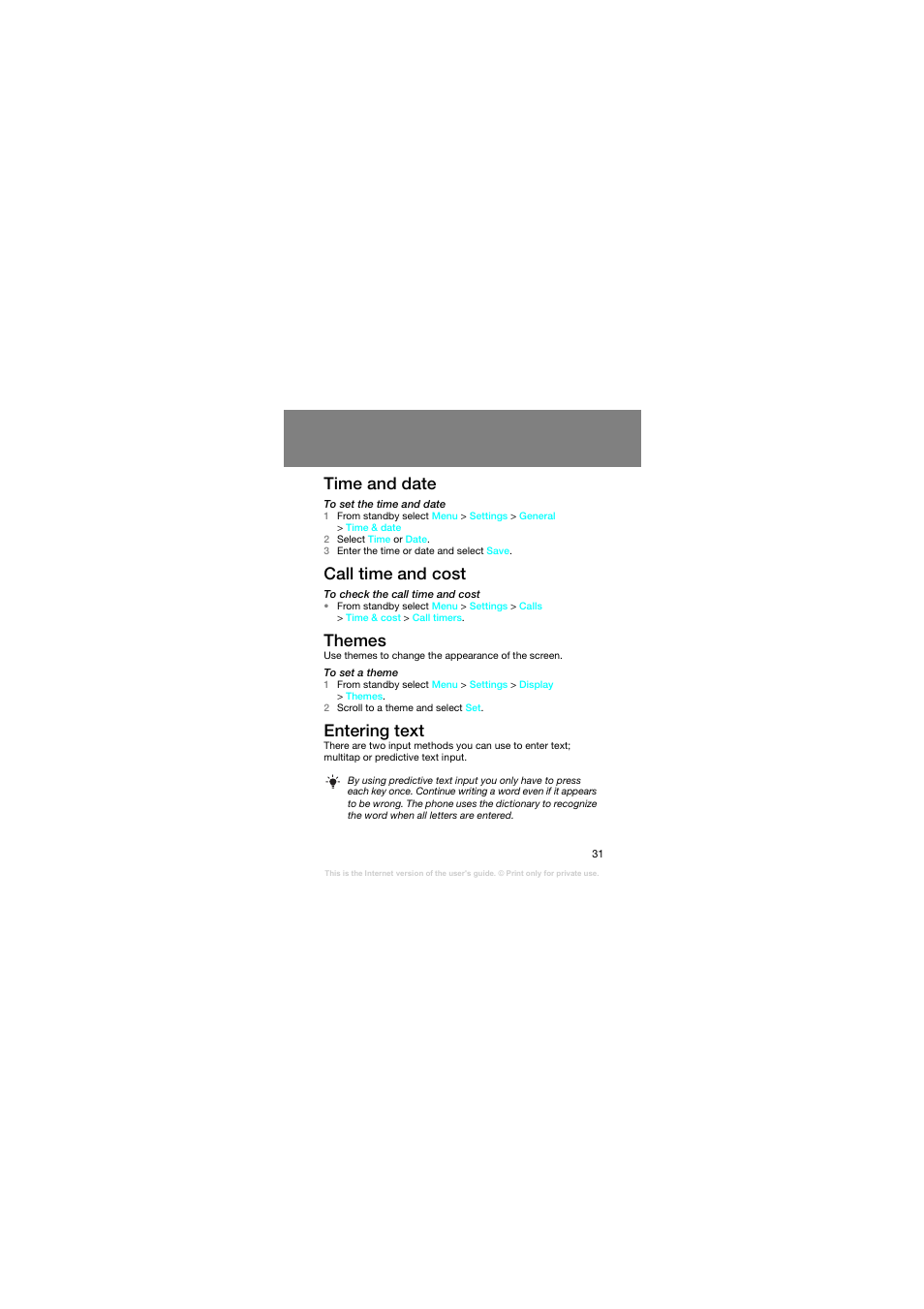 Time and date, Call time and cost, Themes | Entering text | Superior Z258C User Manual | Page 31 / 48