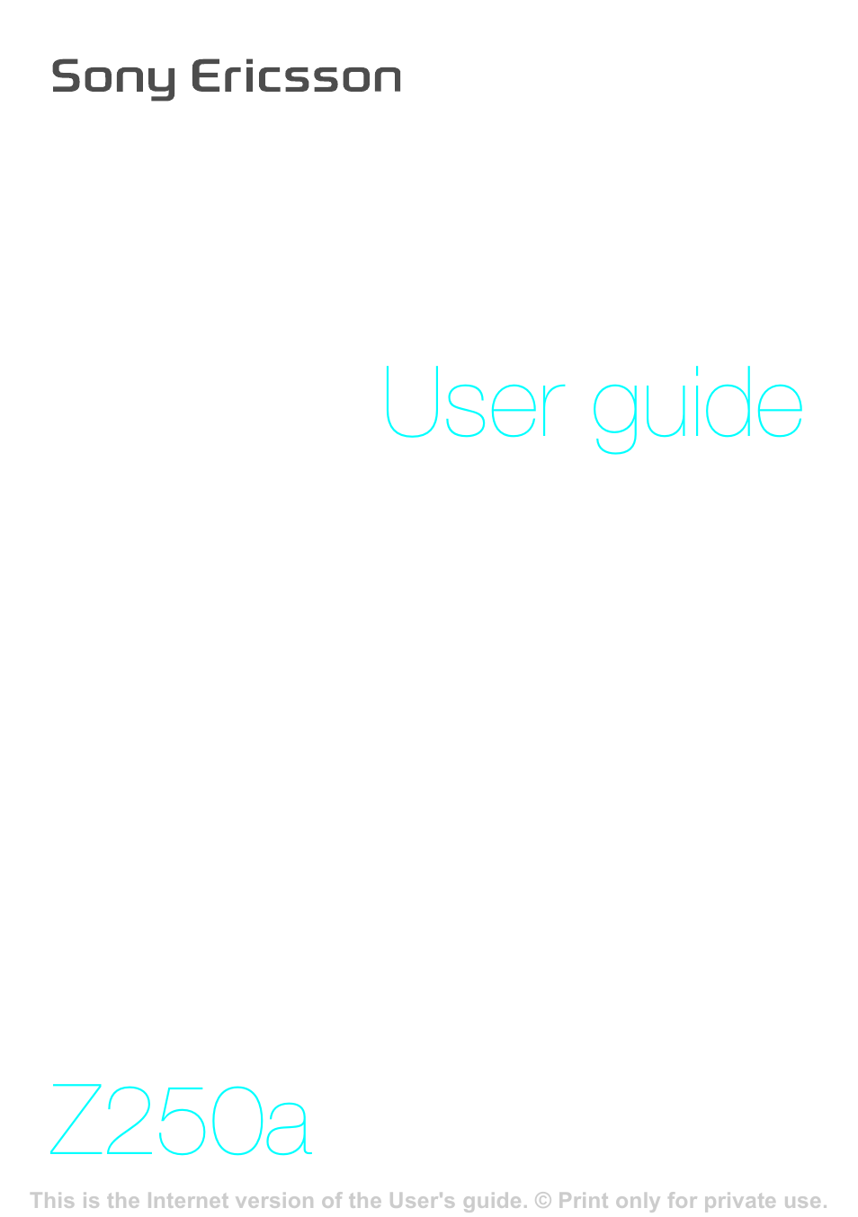 Superior Z250A User Manual | 42 pages