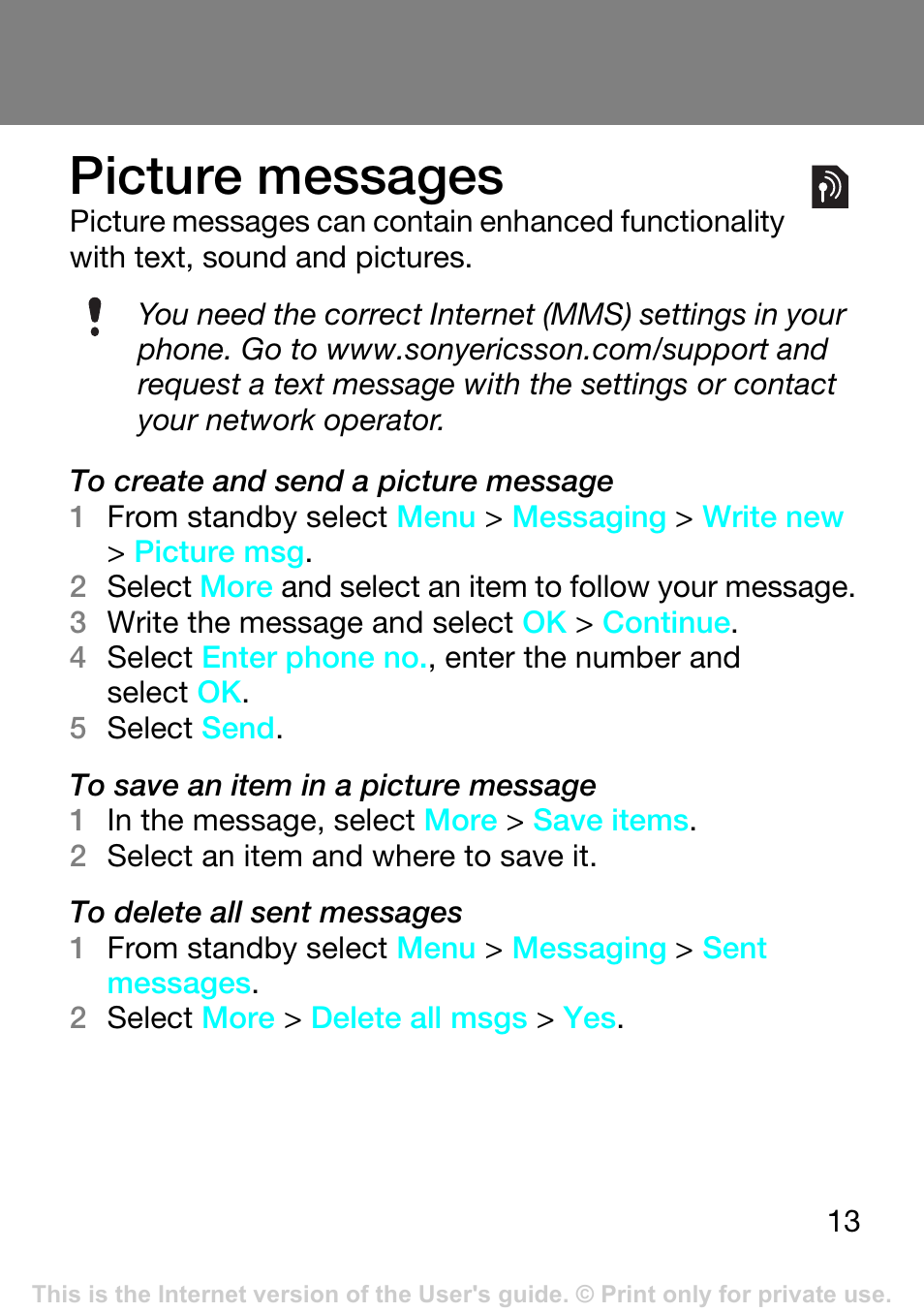 Picture messages | Superior Z250A User Manual | Page 13 / 42