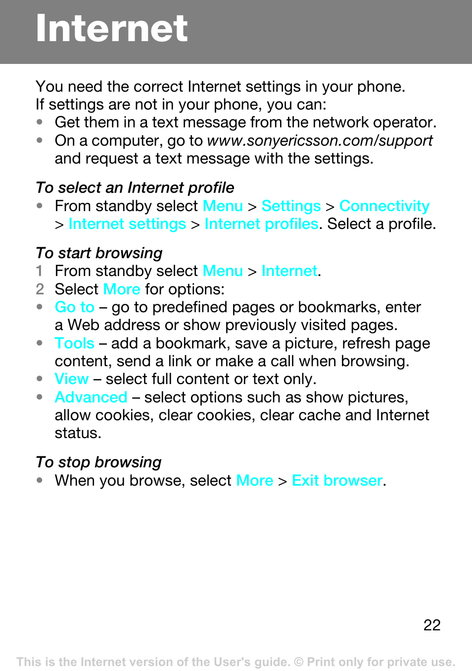Internet | Superior Z250A User Manual | Page 22 / 42