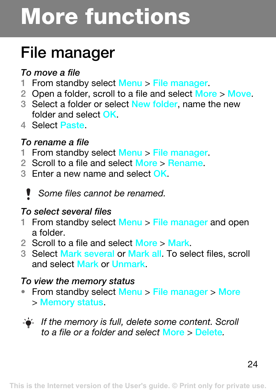 More functions, File manager | Superior Z250A User Manual | Page 24 / 42
