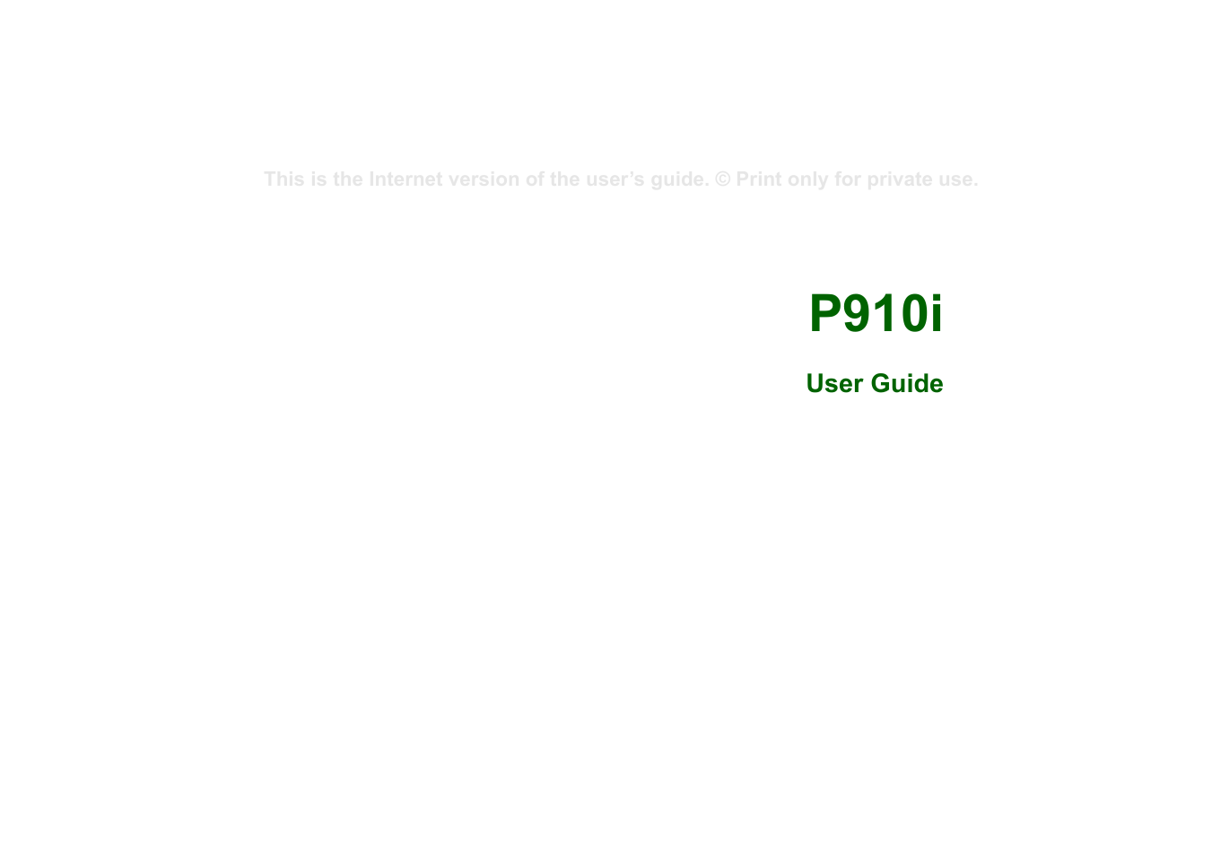Superior P910I User Manual | 211 pages
