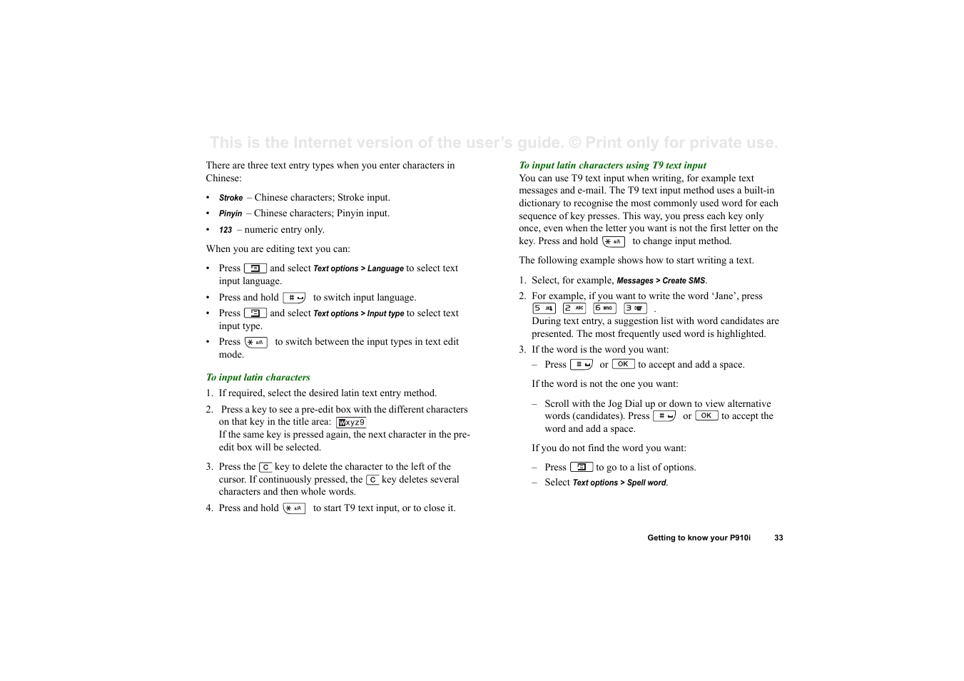 Superior P910I User Manual | Page 33 / 211