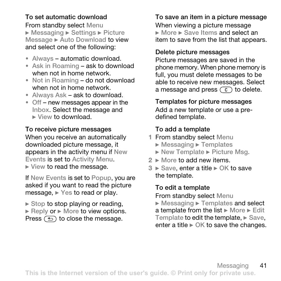 Superior W880I User Manual | Page 41 / 100