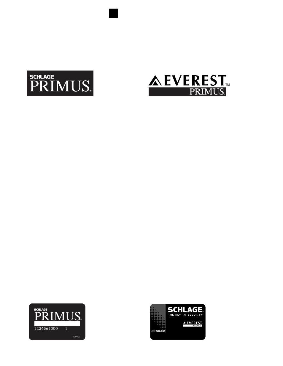 Security levels | Schlage CYLINDERS User Manual | Page 31 / 32