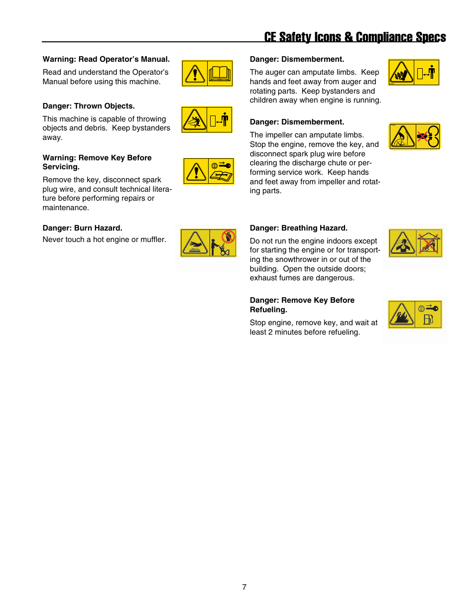 Ce safety icons & compliance specs | Snapper E175246E User Manual | Page 8 / 32