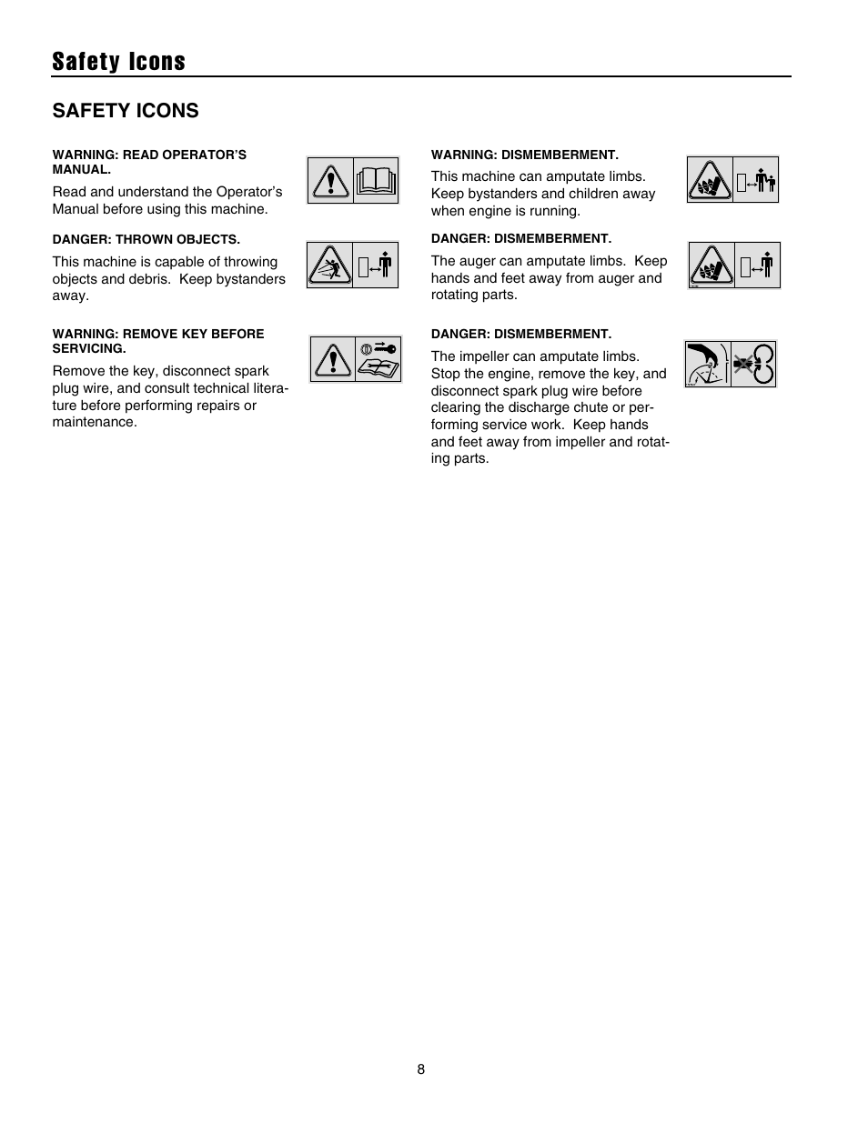 Safety icons | Snapper 1632E User Manual | Page 9 / 36