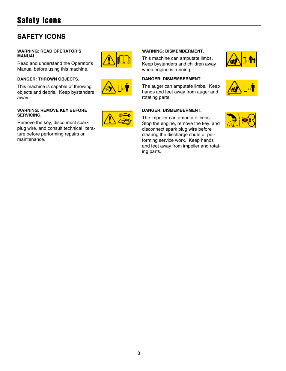 Safety icons | Snapper 8526 User Manual | Page 9 / 34