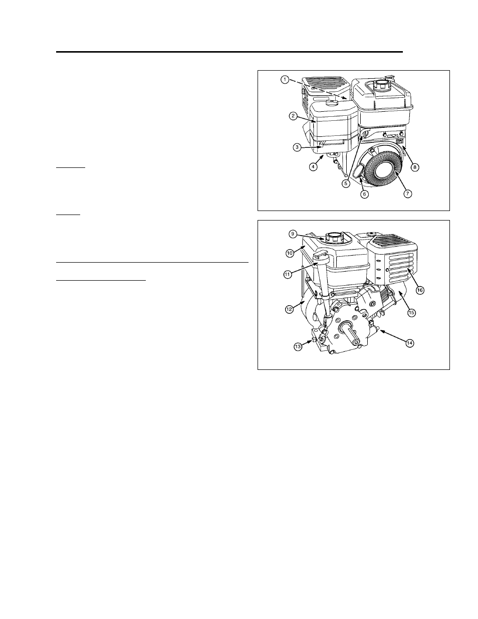 Controls, Engine controls | Snapper 6HP User Manual | Page 9 / 26