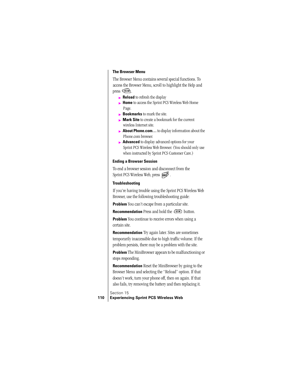 The browser menu, Ending a browser session, Troubleshooting | Samsung SPH-N300 User Manual | Page 110 / 167