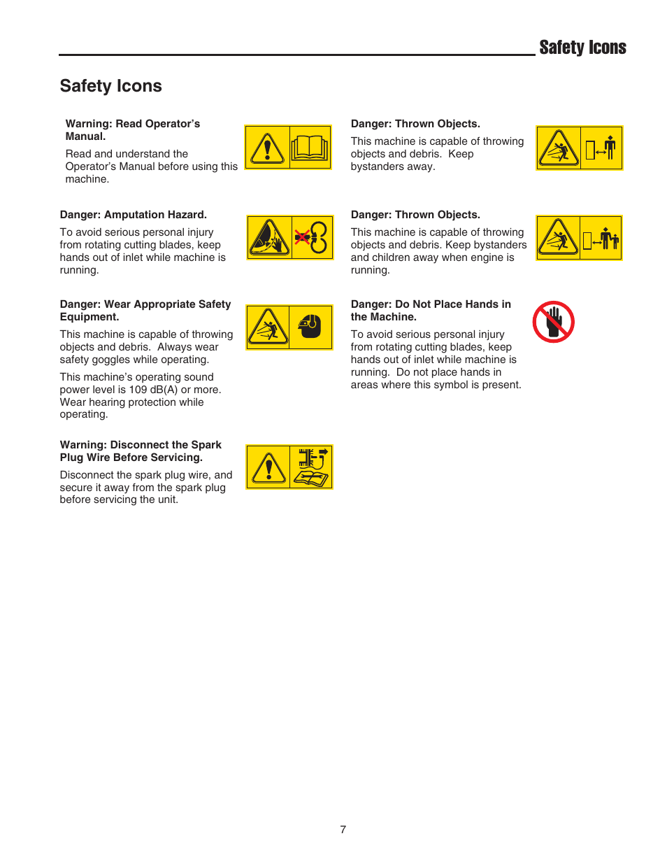 Safety icons | Snapper E55140BV User Manual | Page 8 / 26