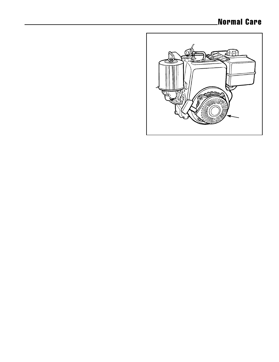Normal care | Snapper 5/14 User Manual | Page 18 / 27