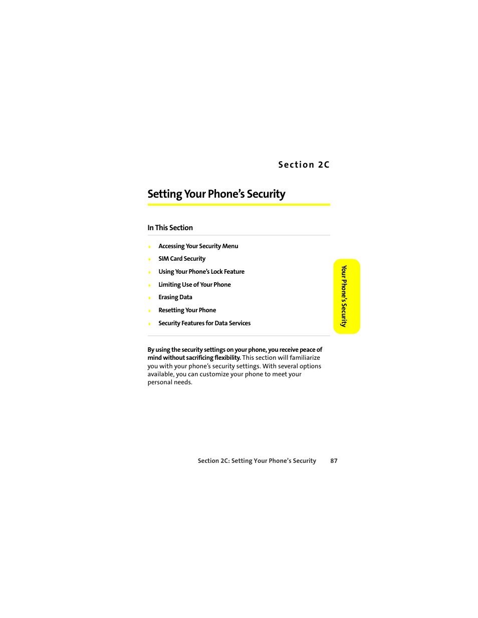 Setting your phone’s security | Sprint Nextel ic502 User Manual | Page 101 / 226