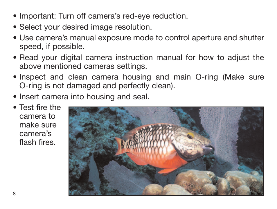 Sealife DIGITAL FLASH User Manual | Page 10 / 60