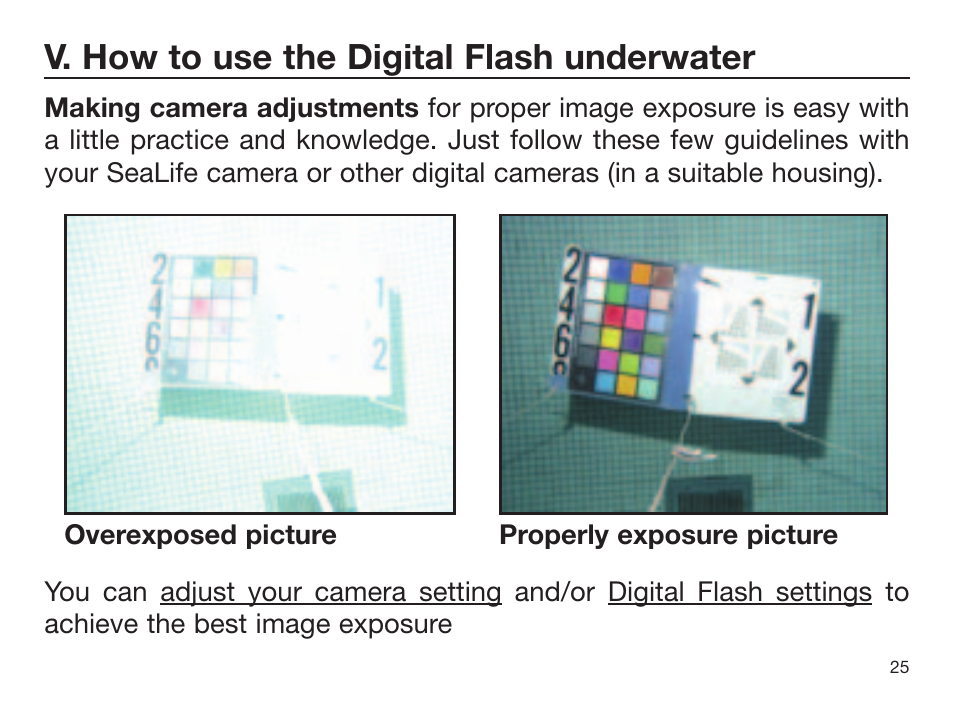V. how to use the digital flash underwater | Sealife DIGITAL FLASH User Manual | Page 27 / 60