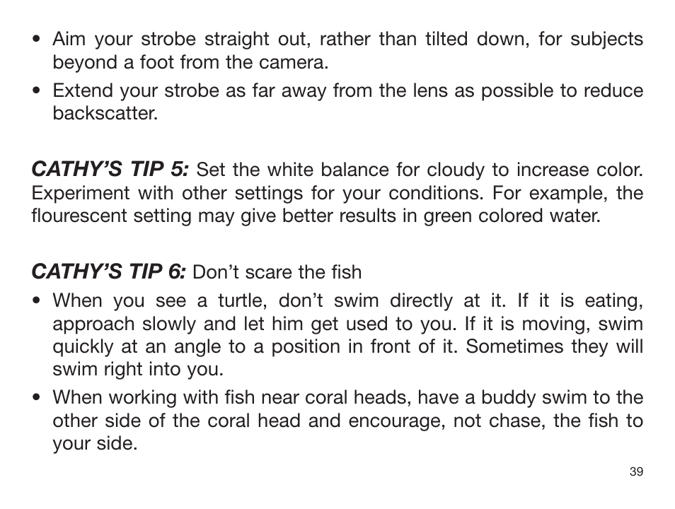 Sealife DIGITAL FLASH User Manual | Page 41 / 60
