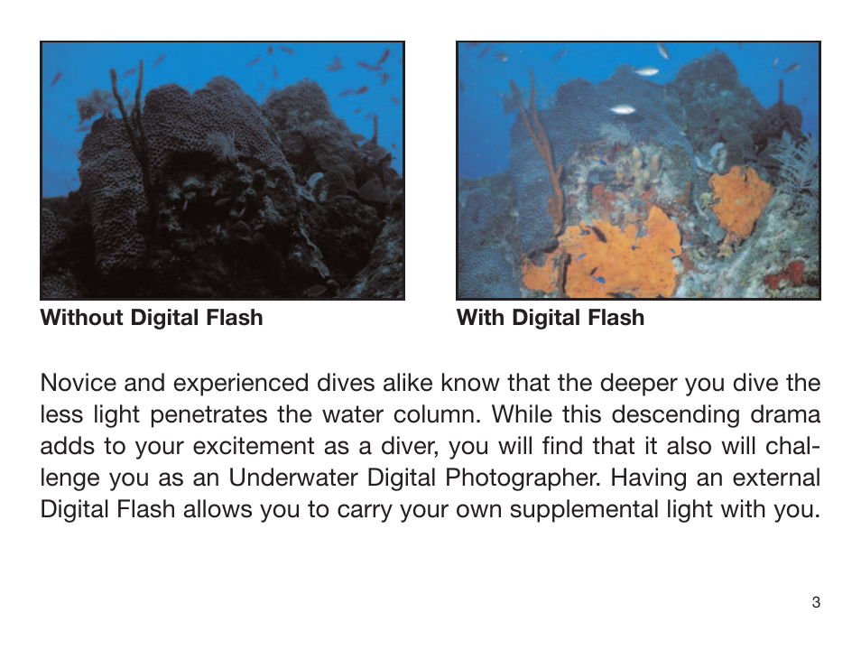 Sealife DIGITAL FLASH User Manual | Page 5 / 60
