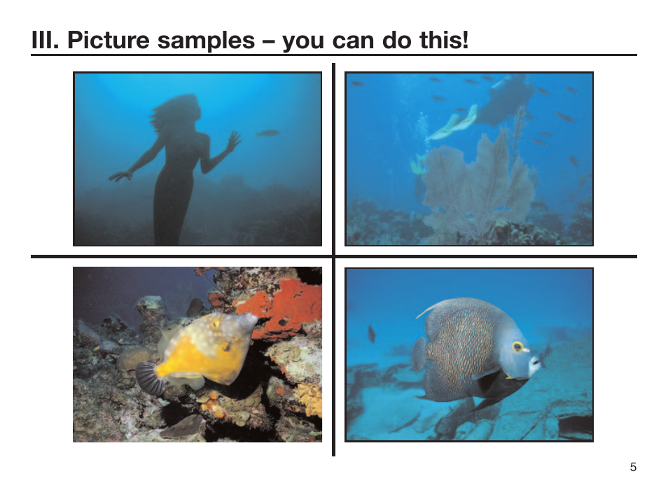 Iii. picture samples – you can do this | Sealife DIGITAL FLASH User Manual | Page 7 / 60