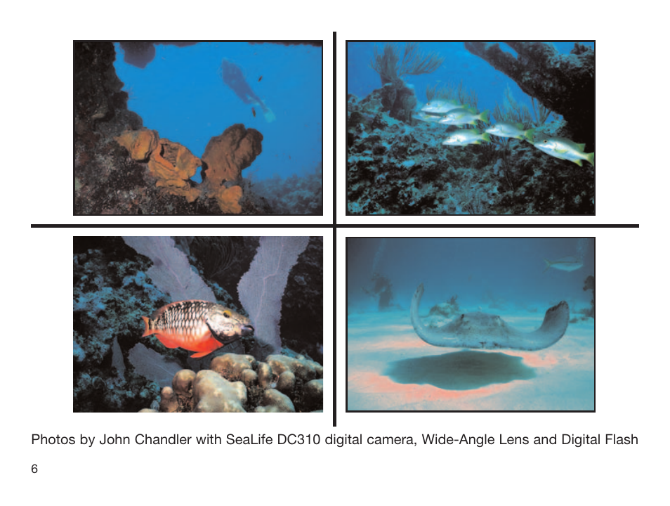 Sealife DIGITAL FLASH User Manual | Page 8 / 60