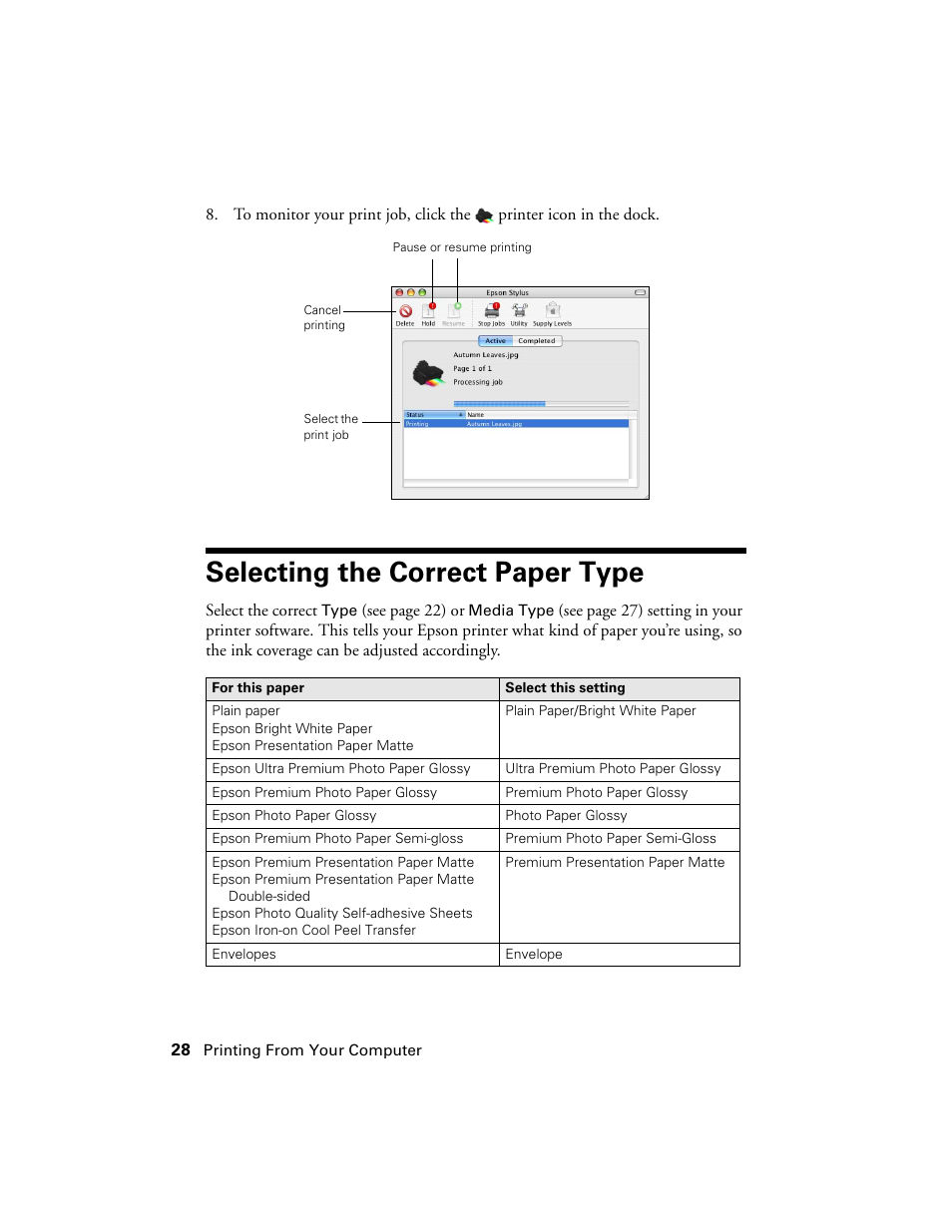 Selecting the correct paper type | Stoelting Futura 112 User Manual | Page 28 / 52