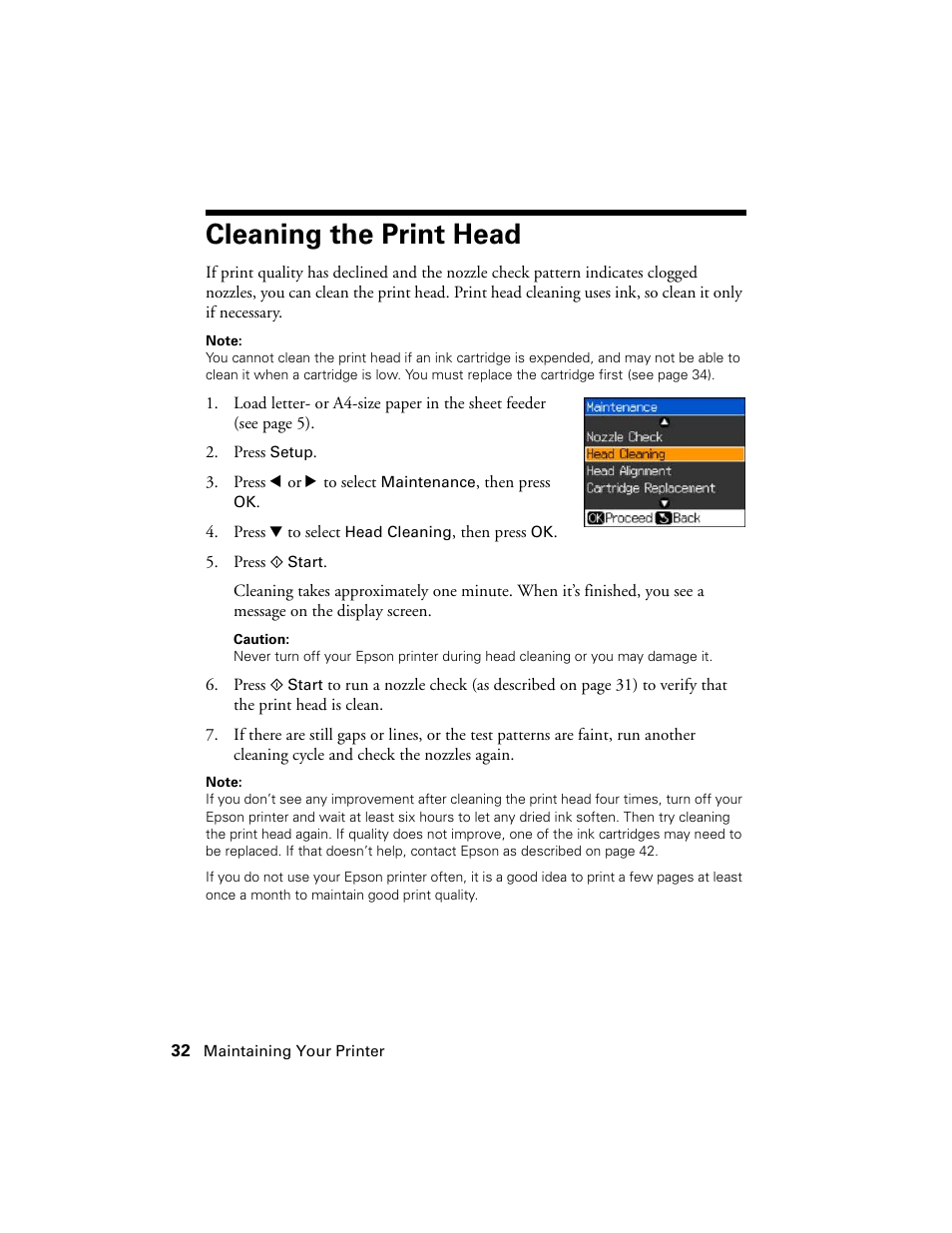 Cleaning the print head | Stoelting Futura 112 User Manual | Page 32 / 52