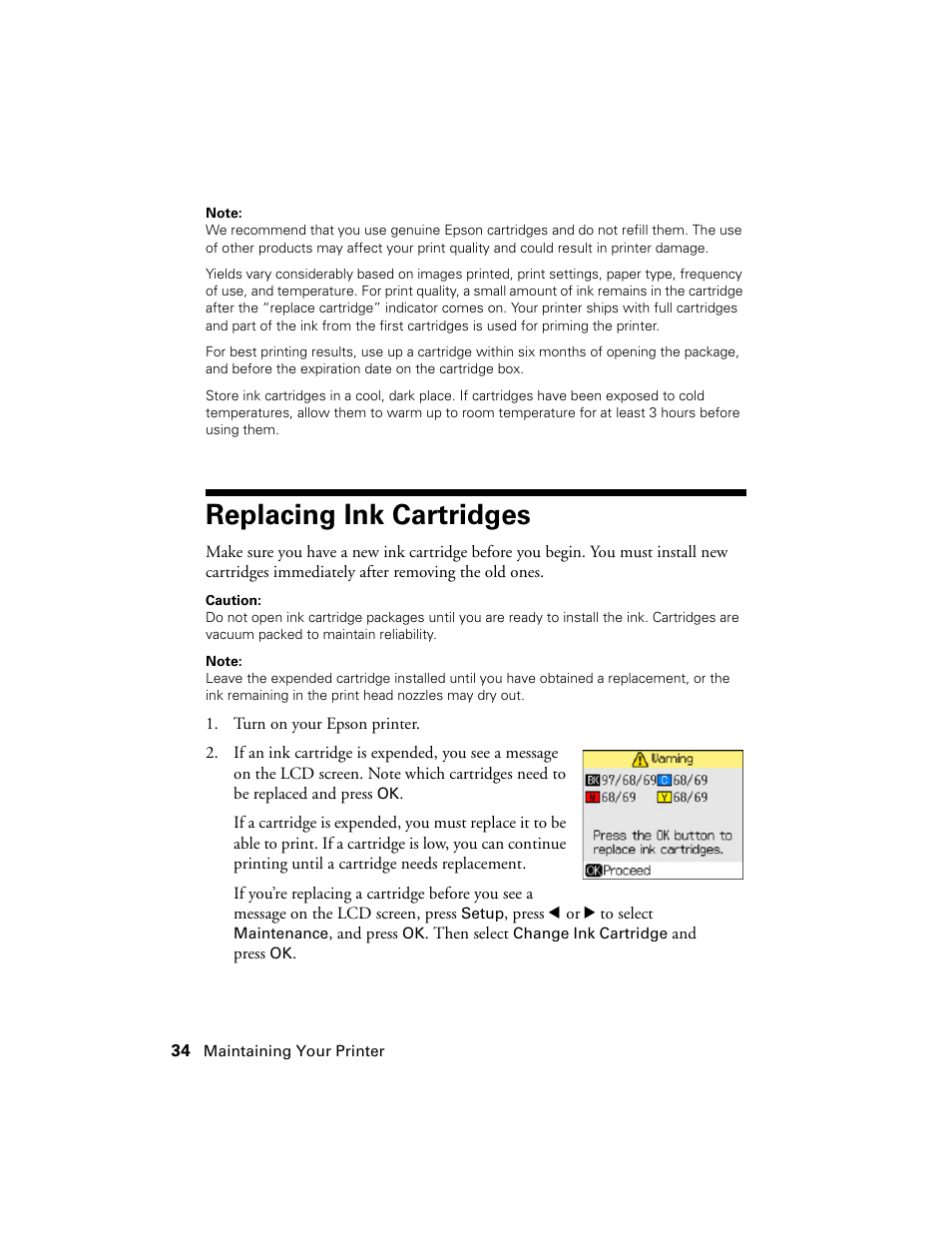 Replacing ink cartridges | Stoelting Futura 112 User Manual | Page 34 / 52