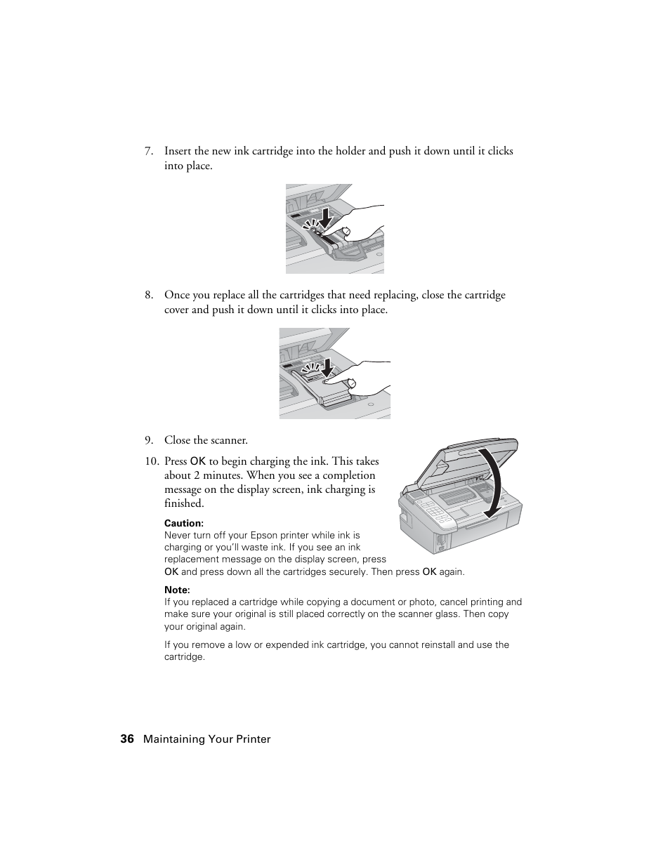 Stoelting Futura 112 User Manual | Page 36 / 52