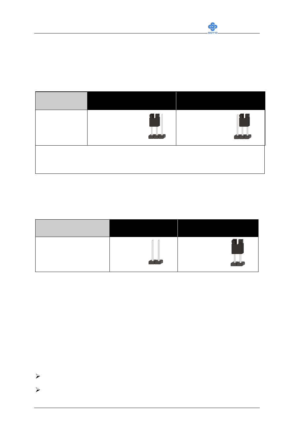 SOYO SY-6IWM User Manual | Page 47 / 96