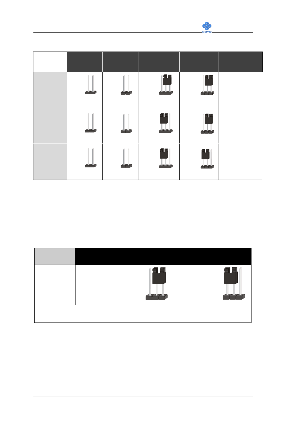 SOYO SY-6IWM User Manual | Page 49 / 96