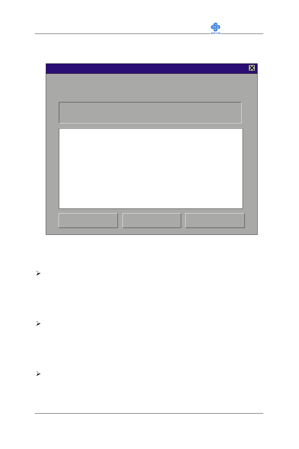 SOYO SY-6IWM User Manual | Page 91 / 96