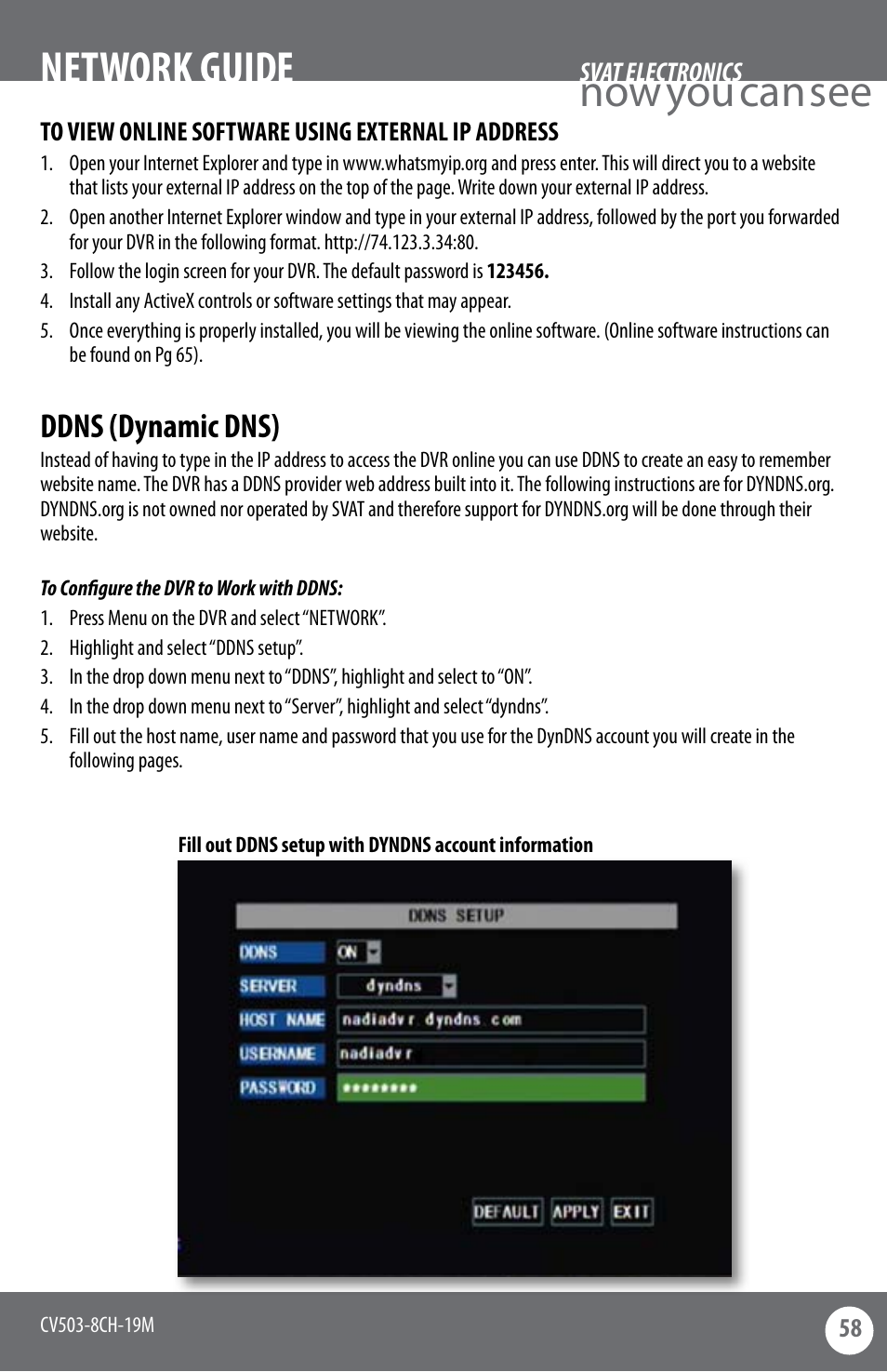Now you can see, Network guide, Ddns (dynamic dns) | SVAT Electronics CV503-8CH User Manual | Page 61 / 91