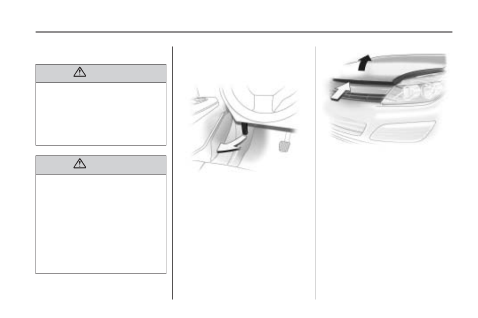 Owner checks, Hood release | Saturn 2008 Astra User Manual | Page 195 / 304