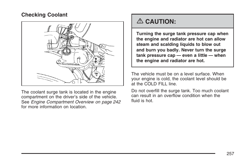 Caution | Saturn 2007 Sky User Manual | Page 257 / 384