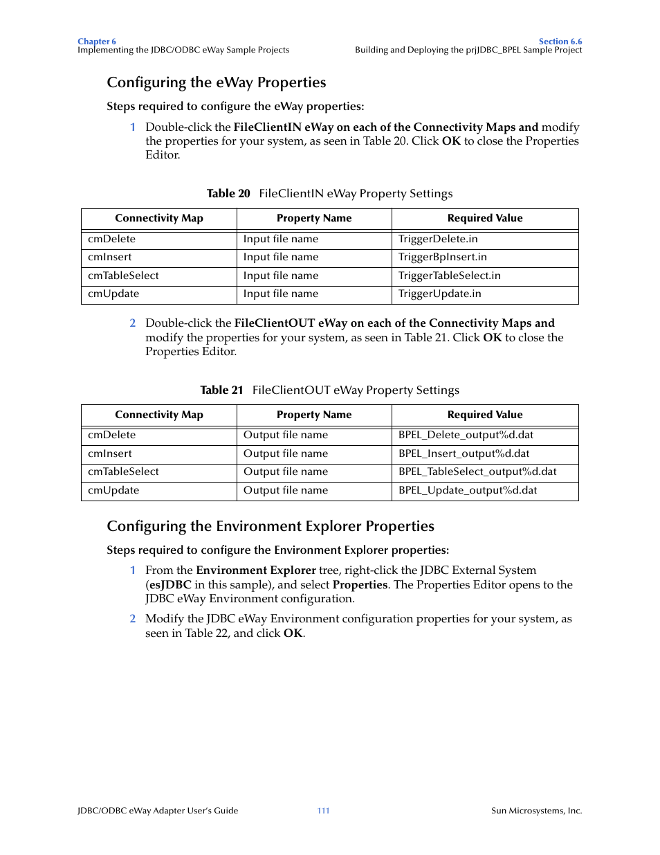 Configuring the eway properties, Configuring the environment explorer properties | Sun Microsystems eWay JDBC/ODBC Adapter User Manual | Page 111 / 133