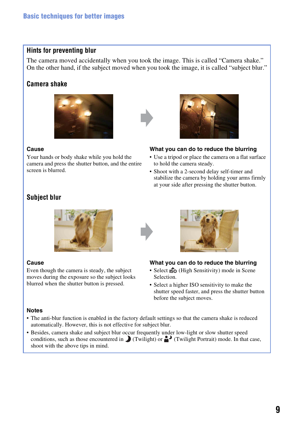 Hints for preventing blur | Sony Cyber-shot 3-700-727-12(1) User Manual | Page 9 / 135