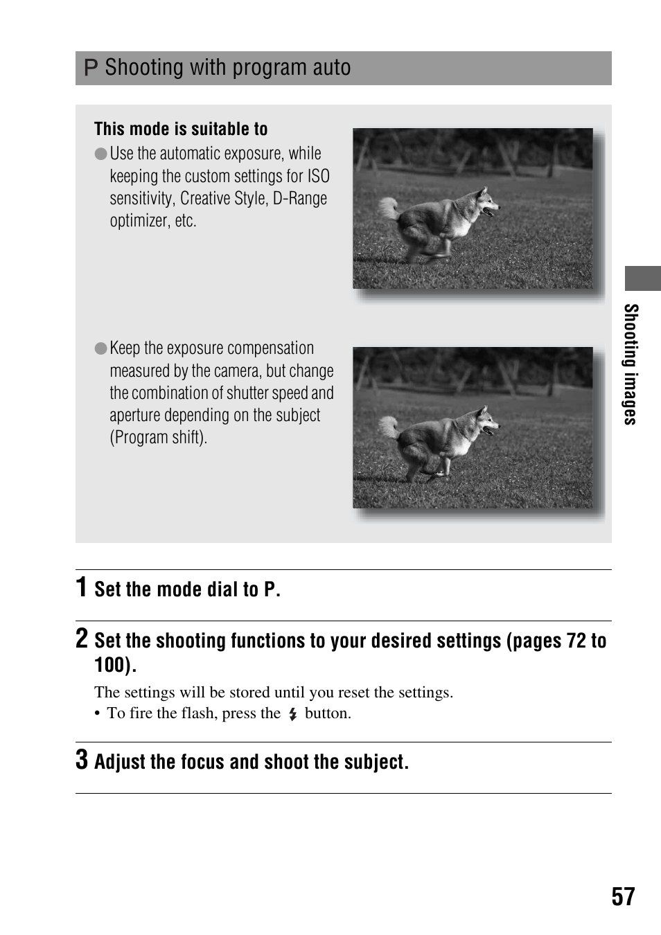 P shooting with program auto, Shooting with program auto | Sony 3-287-969-15 (1) User Manual | Page 57 / 167