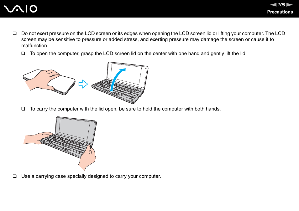 Sony VAIO VGN-P500 User Manual | Page 109 / 165