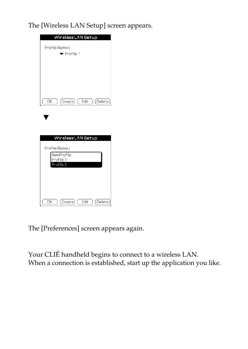 Sony PEGA-WL100 User Manual | Page 31 / 40