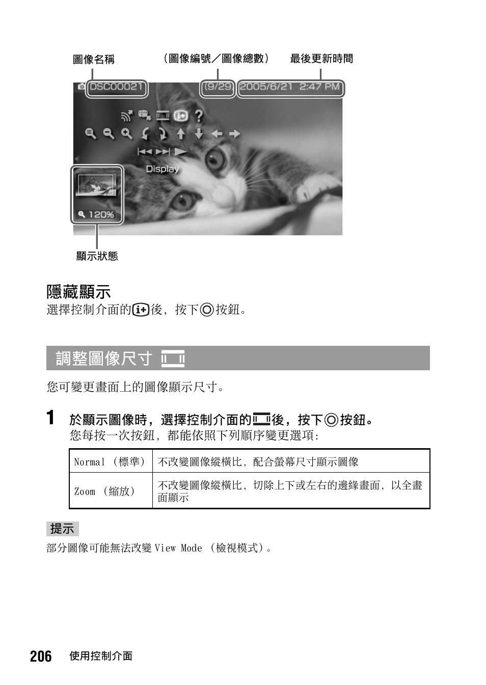 第 206 頁, 隱藏顯示, 調整圖像尺寸 | Sony PSP-1006 K User Manual | Page 206 / 268