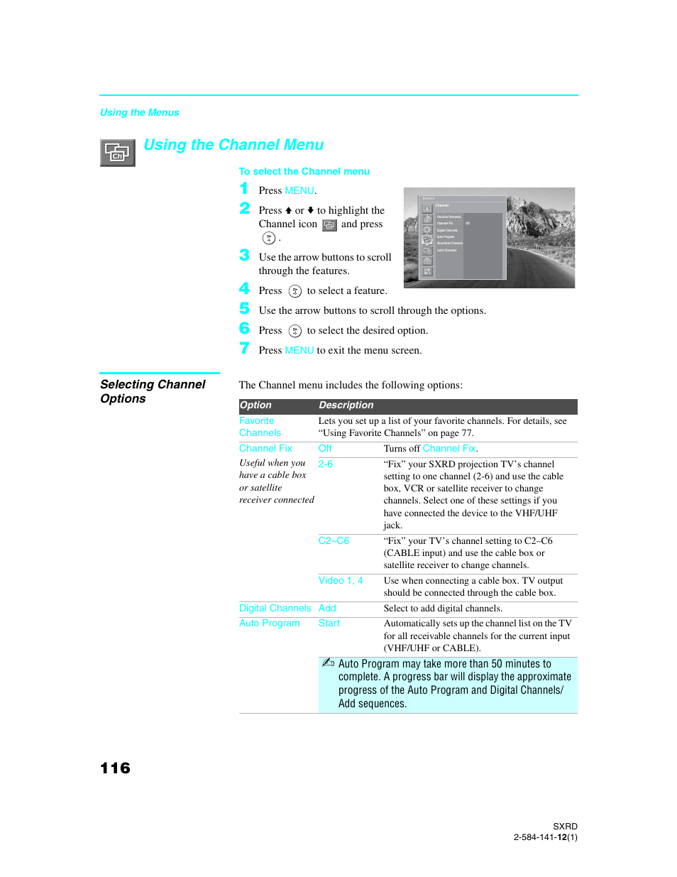 Using the channel menu, Selecting channel options | Sony Qualia 006 User Manual | Page 118 / 147