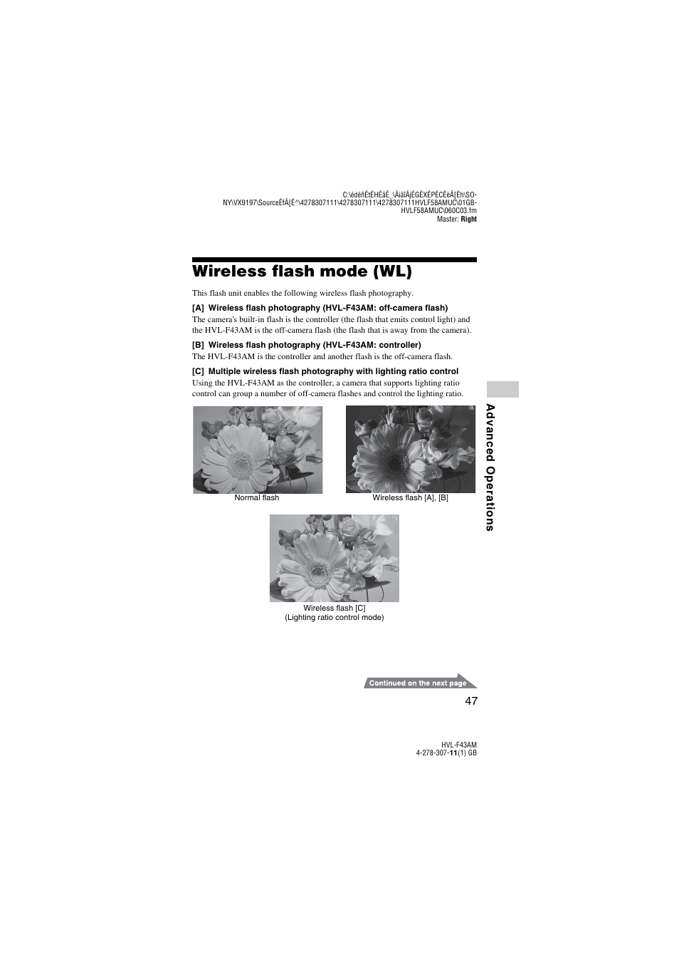 Wireless flash mode (wl) | Sony HVL-F43AM User Manual | Page 47 / 76