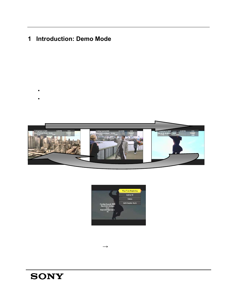 1 introduction: demo mode | Sony DHG-HDD250 User Manual | Page 3 / 8