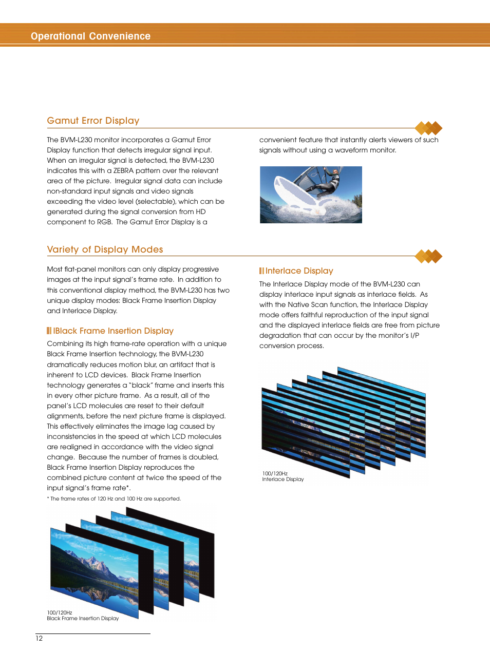 Operational convenience, Variety of display modes, Gamut error display | Sony BVM-L230 User Manual | Page 12 / 20