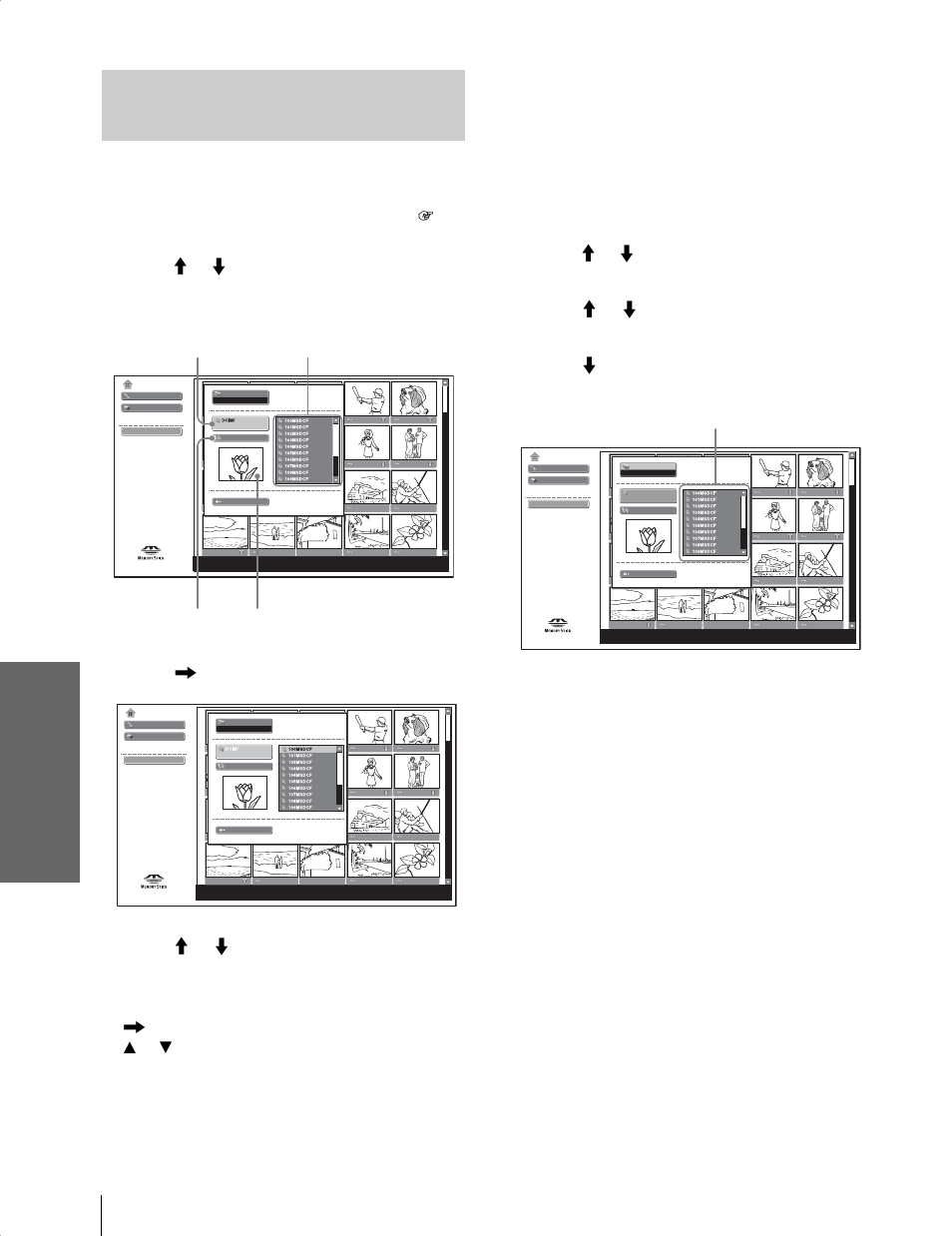 Sony Cineza VPL-HS20 User Manual | Page 48 / 240