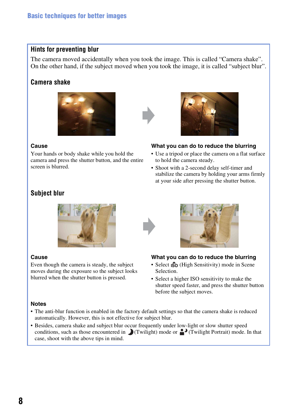 Hints for preventing blur | Sony Cyber-shot 3-294-896-12(1) User Manual | Page 8 / 138