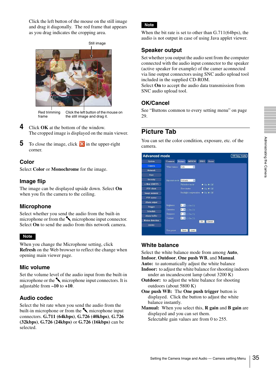 Picture tab | Sony IPELA SNC-P1 User Manual | Page 35 / 80